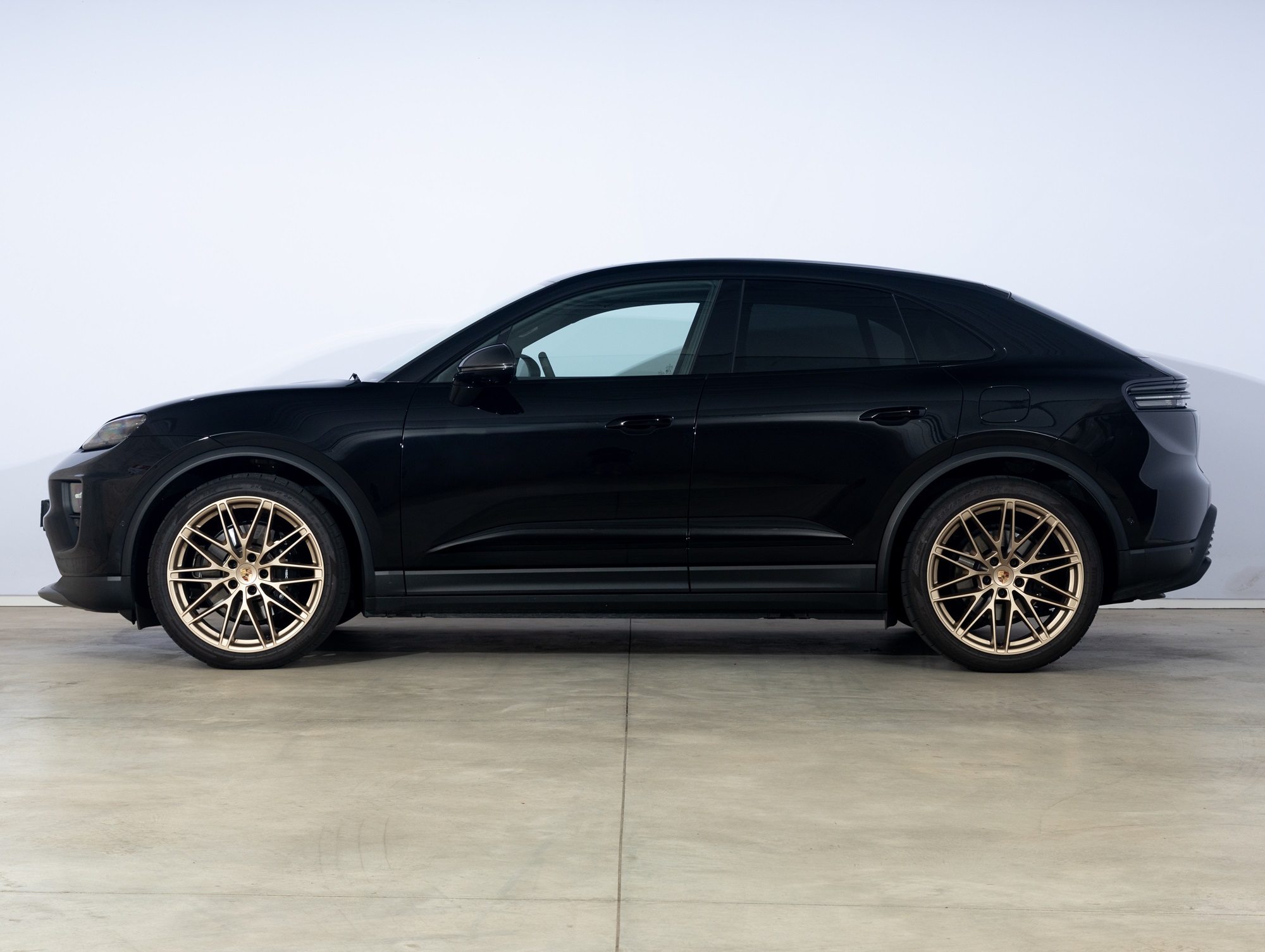 Macan 1